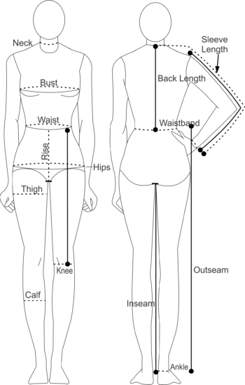 Cup Bra Size Chart In CM & Inches