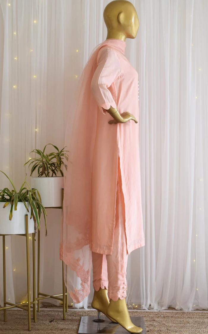 Blush Kurta-Pant Set with Organza Dupatta (4)