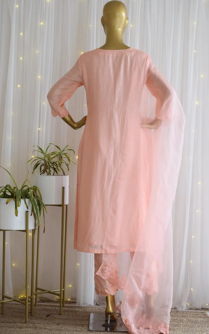 Blush Kurta-Pant Set with Organza Dupatta (5)