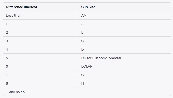 Cup Bra Size Chart In CM & Inches